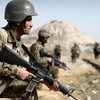 Lực lượng an ninh Afghanistan trong một chiến dịch truy quét. (Nguồn: alwaght.com)