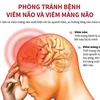 [Infographics] Phòng tránh bệnh viêm não và viêm màng não