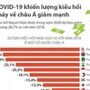 [Infographics] COVID-19 khiến lượng kiều hối chảy về châu Á giảm mạnh