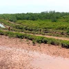 Quang cảnh Khu bảo tồn thiên nhiên đất ngập nước Thái Thụy. (Ảnh: Thế Duyệt/TTXVN)