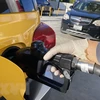 Bơm xăng cho phương tiện tại một trạm xăng ở Los Angeles, Mỹ. (Ảnh: AFP/TTXVN)