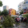 Bão số 5 đổ bộ làm gẫy đổ nhiều cây xanh, cột điện tại thành phố Huế. (Ảnh: Đỗ Trưởng/TTXVN) 