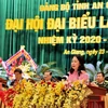Bà Võ Thị Ánh Xuân, Bí thư Tỉnh ủy An Giang khóa XI, nhiệm kỳ 2020-2025 phát biểu bế mạc đại hội. (Ảnh: Thanh Sang/TTXVN)