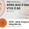 https://www.vietnamplus.vn/co-hoi-lon-de-dong-bao-dan-toc-thieu-so-giam-bot-kho-khan/645369.vnp