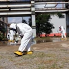Lực lượng chuyên nghiệp Viện hạt nhân Đà Lạt kiểm tra mức độ ô nhiễm phóng xạ. (Ảnh: Quốc Hùng-Ngọc Dũng/TTXVN)