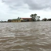 Nước lũ dâng cao, gây ngập sâu trên diện rộng tại nhiều huyện ở Thừa Thiên-Huế. (Ảnh: Đỗ Trưởng/TTXVN)