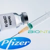 Vắcxin ngừa Covid-19 của Pfizer/BioNtech. (Ảnh: AFP/TTXVN)