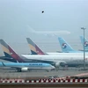 Máy bay của hãng hàng không Korean Air và Asiana Airlines tại sân bay quốc tế Incheon, Hàn Quốc. (Ảnh: Yonhap/TTXVN)