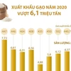 [Infographics] Năm 2020 xuất khẩu gạo của cả nước vượt 6,1 triệu tấn