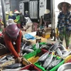 Thương lái thu mua các loại cá biển tại cảng cá Đông Hải, thành phố Phan Rang-Tháp Chàm để đưa tiêu thụ các nơi. (Ảnh: Nguyễn Thành/TTXVN)