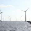 Bạc Liêu hiện có nhiều dự án điện gió ngoài khơi đang được thi công. (Ảnh: Chanh Đa/TTXVN)