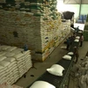 Chuẩn bị nguồn hàng gạo xuất khẩu tại Công ty Lương thực sông Hậu thuộc Tổng công ty Lương thực miền Nam. (Ảnh: TTXVN) 