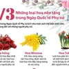 [Infographics] Những loại hoa nên tặng trong Ngày quốc tế Phụ nữ 8/3