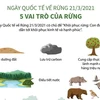 [Infographics] Ngày Quốc tế về Rừng: 5 vai trò của rừng 