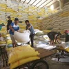 Chuẩn bị nguồn hàng gạo xuất khẩu tại Công ty Lương thực sông Hậu thuộc Tổng công ty Lương thực miền Nam. (Ảnh: TTXVN)