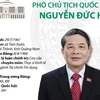 [Infographics] Tiểu sử Phó Chủ tịch Quốc hội Nguyễn Đức Hải