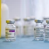 Vaccine ngừa COVID-19 của AstraZeneca tại Cornella, Tây Ban Nha, ngày 7/4/2021. (Ảnh: THX/TTXVN)