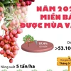 [Infographics] Năm 2021, nhiều tỉnh miền Bắc được mùa vải thiều