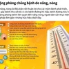 [Infographics] Chủ động phòng chống các bệnh do nắng, nóng