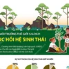 [Infographics] Ngày Môi trường Thế giới 5/6: Phục hồi hệ sinh thái