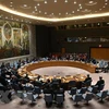 Toàn cảnh một cuộc họp Hội đồng Bảo an Liên hợp quốc tại New York, Mỹ. (Ảnh: AFP/TTXVN) 