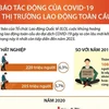 Dự báo tác động của COVID-19 đến thị trường lao động toàn cầu