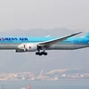 Hãng hàng không Korean Air của Hàn Quốc. (Nguồn: CNN) 