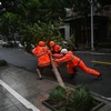 Công nhân môi trường di chuyển cây đổ do ảnh hưởng của bão In-Fa tại Ninh Ba, Chiết Giang (Trung Quốc) ngày 25/7/2021. (Ảnh: AFP/TTXVN)