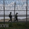 Binh sỹ Hàn Quốc tuần tra tại khu phi quân sự chia cắt hai miền Triều Tiên trên đảo Ganghwa. (Ảnh: AFP/TTXVN) 