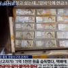 Tiền mặt trị giá 130.000 USD dán dưới đáy tủ lạnh cũ được một người đàn ông Hàn Quốc phát hiện.(Nguồn: upi.com) 
