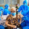 Tại điểm tiêm Cung Văn hóa lao động hữu nghị Việt-Xô, nhờ sự hỗ trợ của Sở Y tế Hà Nội, việc tiêm vaccine được thực hiện chuyên nghiệp, nhanh chóng. (Ảnh: Thành Đạt/TTXVN) 