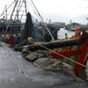 Lực lượng chức năng hỗ trợ ngư dân dọn dẹp ngư lưới cụ, chằng chống tàu thuyền tại Âu thuyền Thọ Quang (quận Sơn Trà). (Ảnh: Quốc Dũng/TTXVN) 