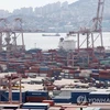 Các container xếp tại cảng Busan của Hàn Quốc. (Nguồn: Yonhap News)
