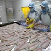 Chế biến cá tra xuất khẩu tại Công ty Công nghiệp Thủy sản Miền Nam. (Ảnh: TTXVN) 
