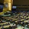 Một phiên họp của Liên hợp quốc. (Ảnh: AFP/TTXVN) 