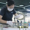 Công ty Daikan Việt Nam, Khu công nghiệp Amata, tỉnh Đồng Nai từng bước khôi phục sản xuất, tăng tốc trở lại. (Ảnh: Công Phong/TTXVN) 