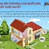 [Infographics] Những nơi trú ngụ của muỗi vằn gây sốt xuất huyết