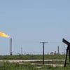 Một cơ sơ khai thác dầu tại Odessa, Texas, Mỹ. (Ảnh: AFP/TTXVN) 