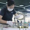 Công nhân làm việc tại Công ty Daikan Việt Nam, Khu công nghiệp Amata, tỉnh Đồng Nai. (Ảnh: Công Phong/TTXVN) 