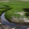 Sông Hualai hẹp nhất thế giới. (Nguồn: odditycentral.com)
