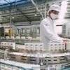 Dây chuyển sản xuất hiện đại của công ty Vinamilk hiện đang sản xuất 250 chủng loại sản phẩm tại các nhà máy của công ty trên cả nước. (Ảnh: PV/Vietnam+)