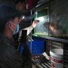 Nhân viên cứu hộ Vườn Quốc gia Pù Mát (Nghệ An) chăm sóc rắn hổ mang chúa do Công an xã Chi Khê (huyện Con Cuông, Nghệ An) phát hiện, bắt giữ đem về cứu hộ tại vườn. (Ảnh: TTXVN/phát) 