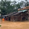 Nước dâng cao gây ngập lụt tại huyện miền núi An Lão (Gia Lai). (Ảnh: Phạm Kha/TTXVN) 