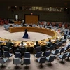 Một cuộc họp của Hội đồng Bảo an Liên hợp quốc. (Ảnh: AFP/TTXVN)