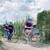 Du khách trải nghiệm các điểm đến Thạnh An, Thiềng Liềng, Vàm Sát... tại huyện Cần Giờ (Thành phố Hồ Chí Minh) bằng xe đạp. (Ảnh: Mỹ Phương/TTXVN) 