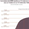 [Infographics] Mỹ ghi nhận hơn 800.000 ca tử vong do COVID-19 