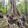 Lực lượng kiểm lâm, cán bộ, nhân viên vườn Quốc gia Kon Ka Kinh và người dân nhận khoán trao đổi phương án bảo vệ rừng. (Ảnh: Hồng Điệp/TTXVN)