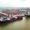 Bốc xếp container tại một bến cảng. (Ảnh: CTV/Vietnam+) 