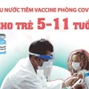 [Infographics] Nhiều nước tiêm vaccine COVID-19 cho trẻ 5-11 tuổi