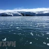 Sông băng Collins, Nam Cực. (Nguồn: AFP/TTXVN)